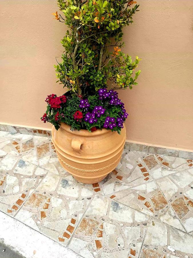 Joy New Port Studio Corfu Town Luaran gambar